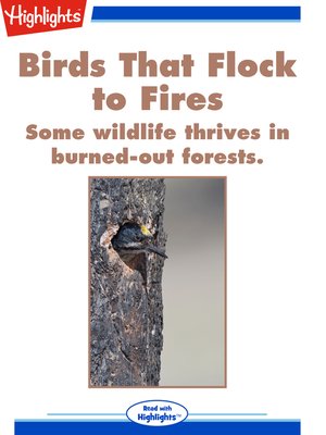 cover image of Birds That Flock to Fires